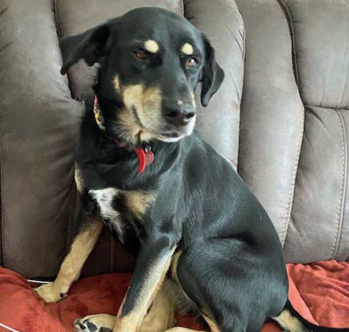 Photo of Luna