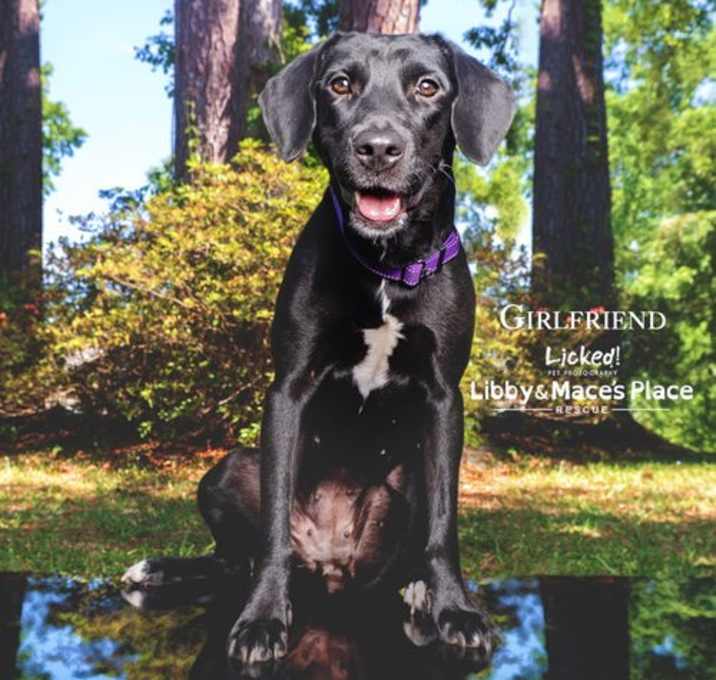 Photo of Girlfriend Fee Sponsored
