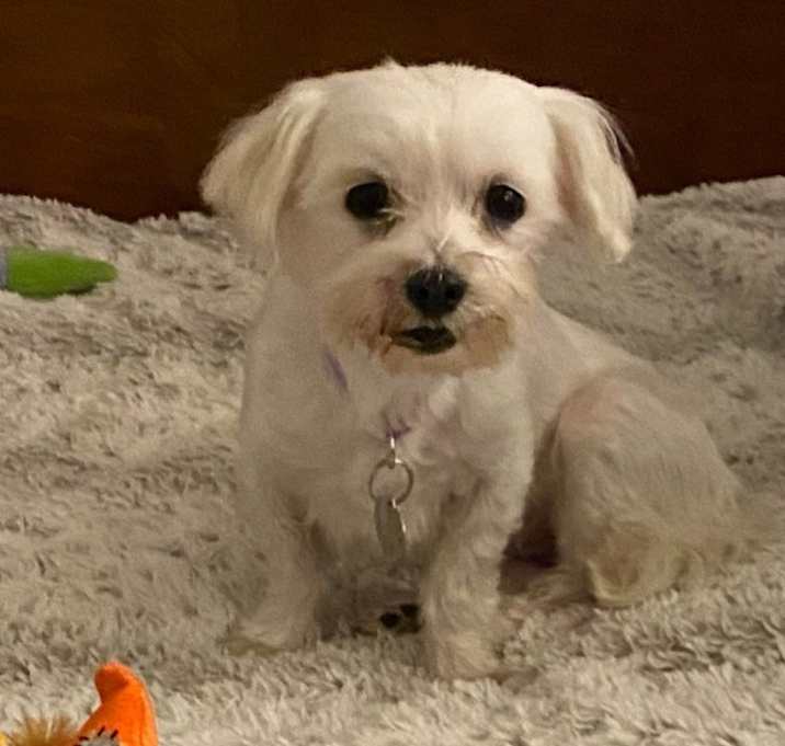 Photo of Cleo