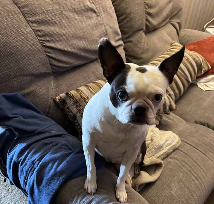 Photo of Lily