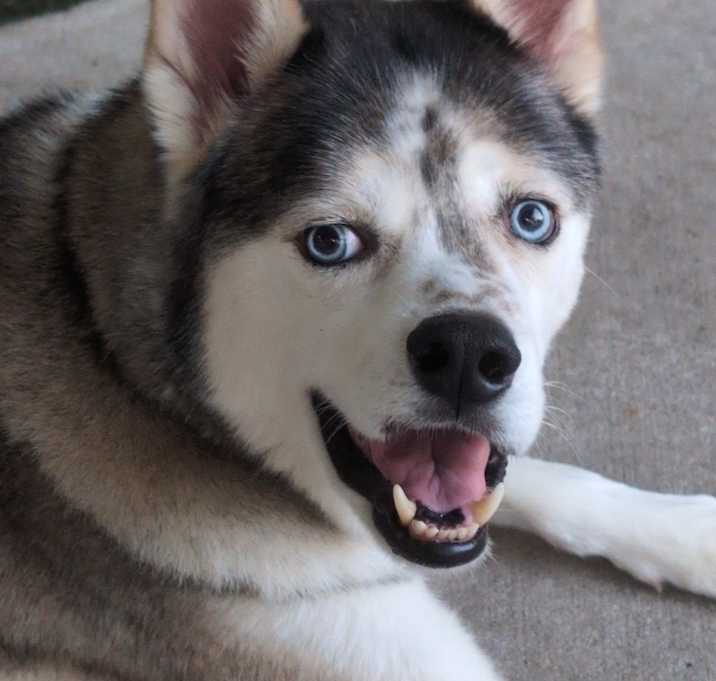 Photo of Oliver