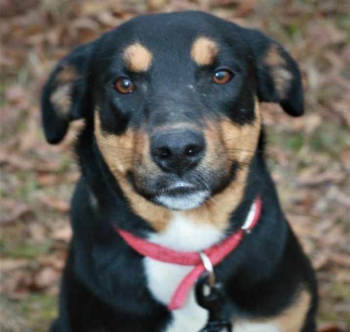Photo of Bubbles