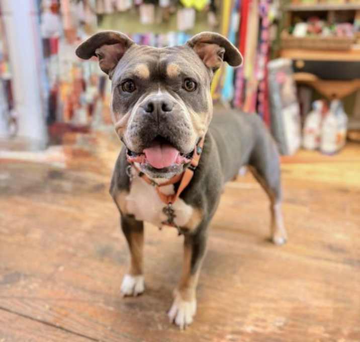 Photo of Fiona