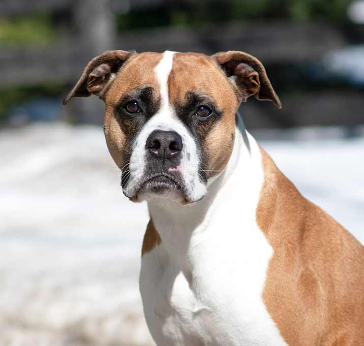 Photo of Tova