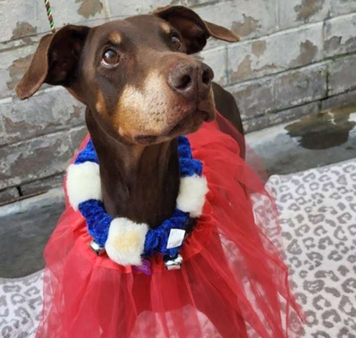 Photo of DARLA
