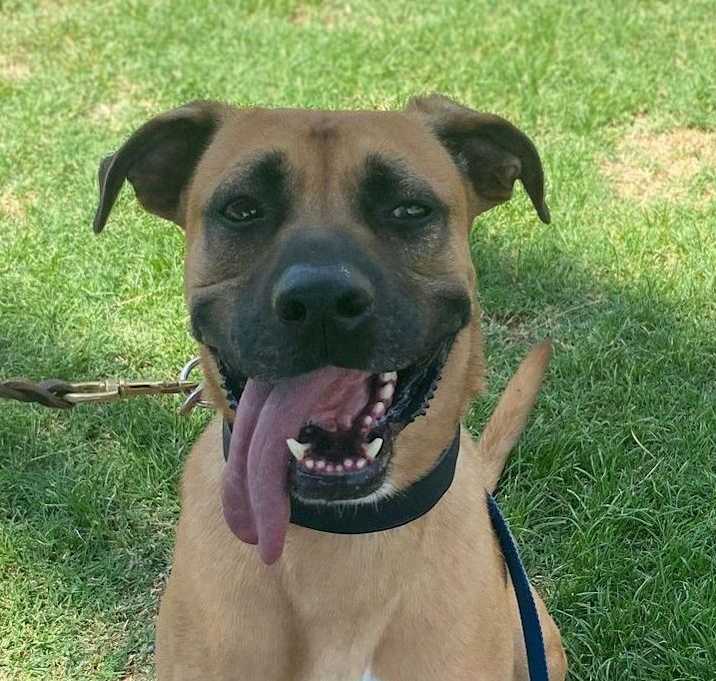 Photo of ROMEO