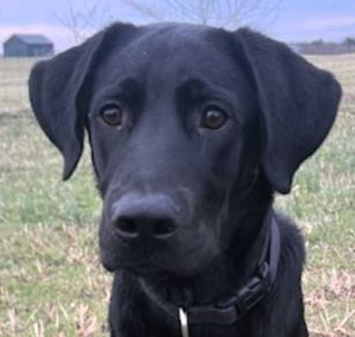 Photo of Remington