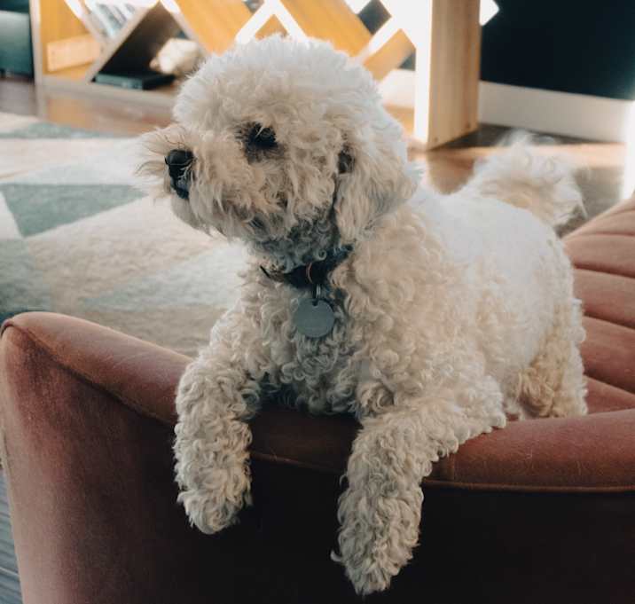 Photo of Ernie