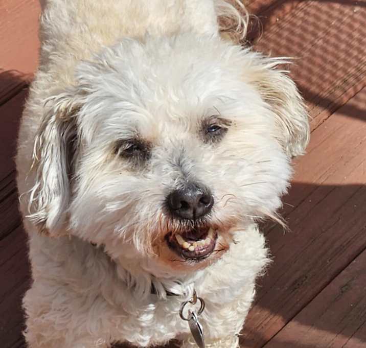 Photo of Baily