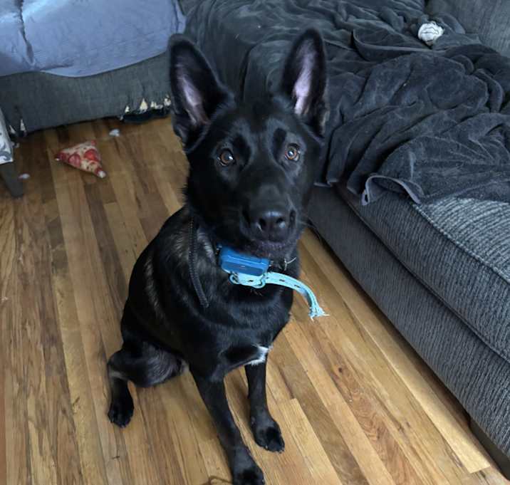 Photo of Yoshi