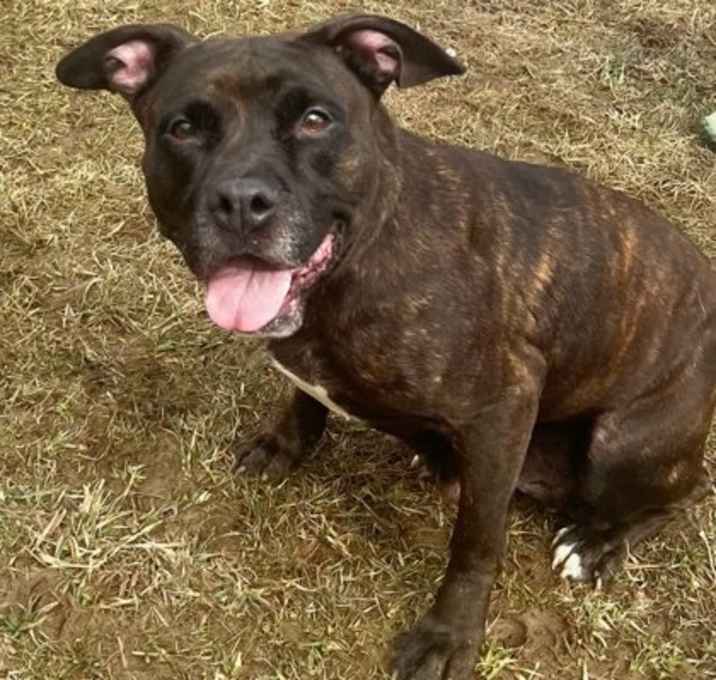 Photo of Maisy