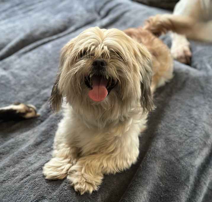 Photo of Papas