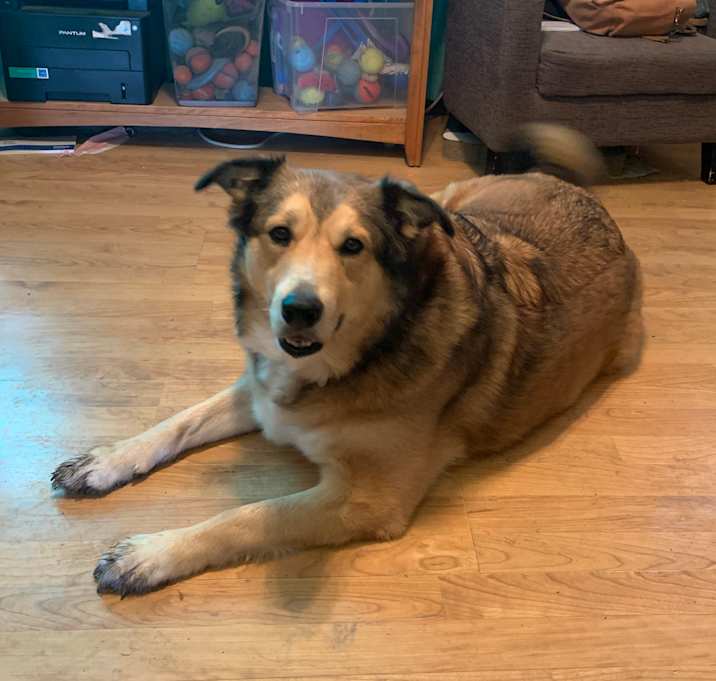 Photo of Tank