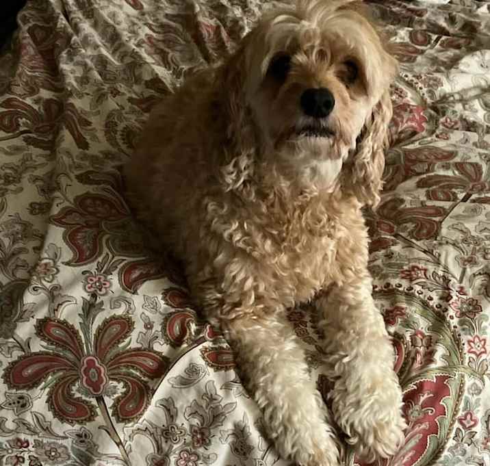 Photo of Nikki
