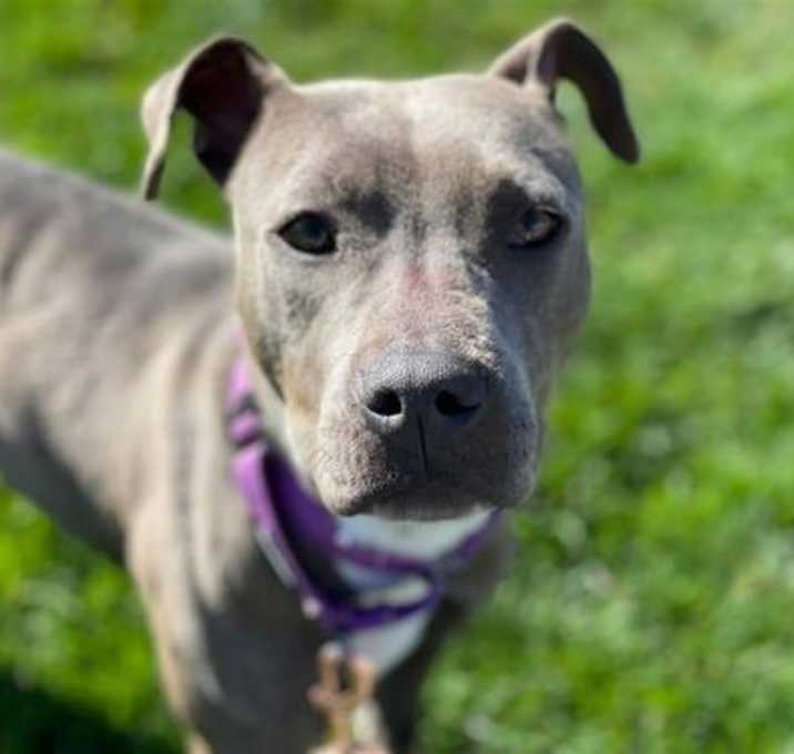 Photo of Miss Baby
