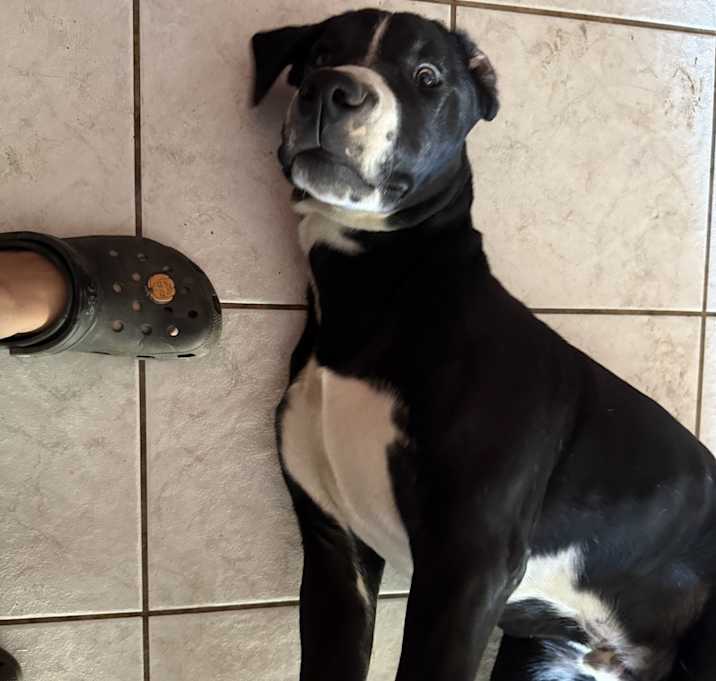 Photo of Coal