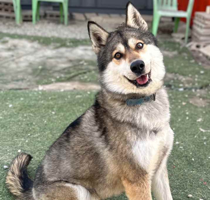 Photo of Elsa