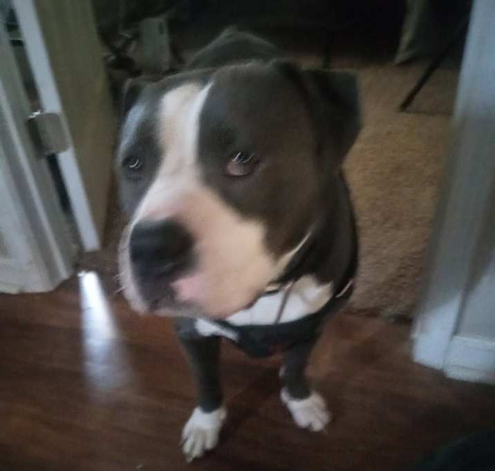 Photo of Hercules