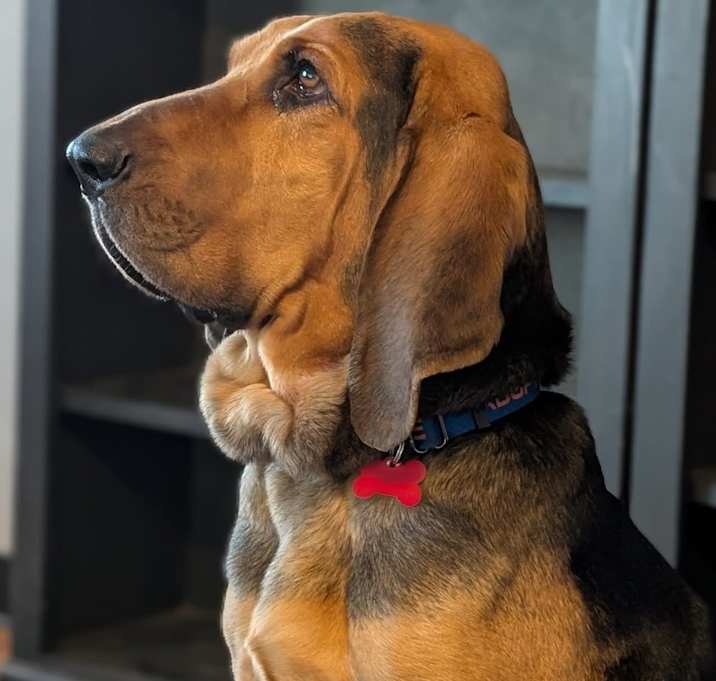 Photo of Hunter
