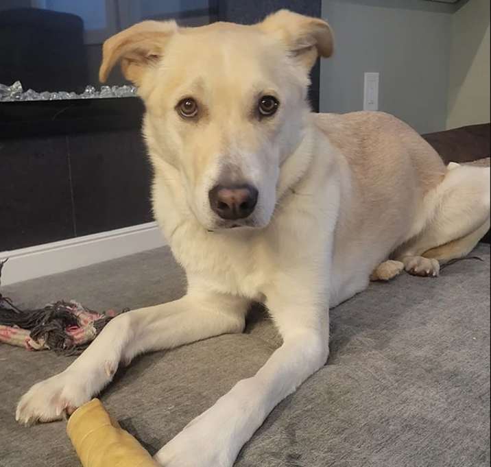 Photo of Tater