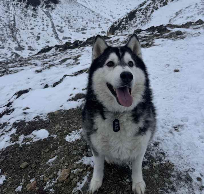 Photo of Raz