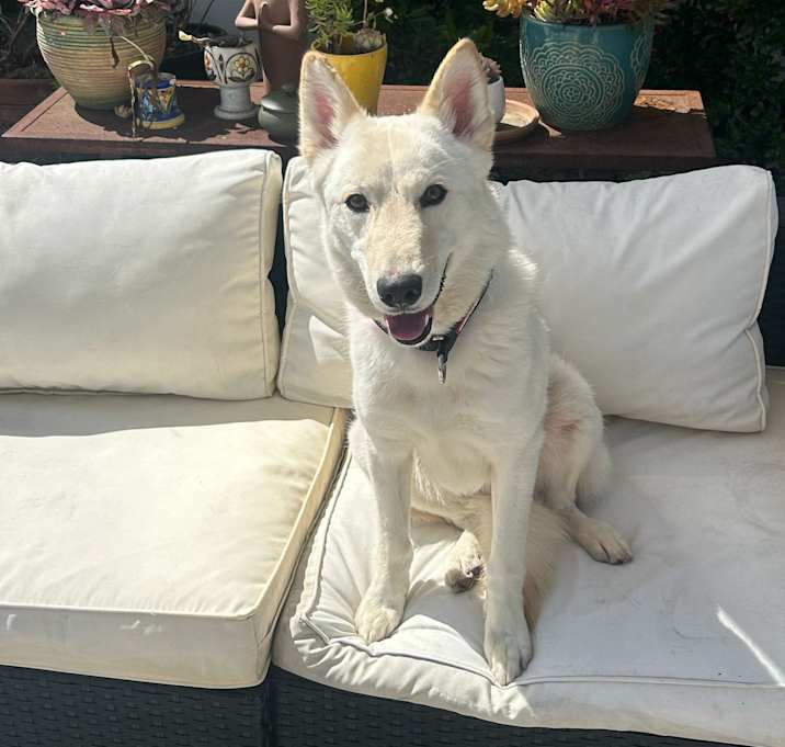 Photo of Dakota