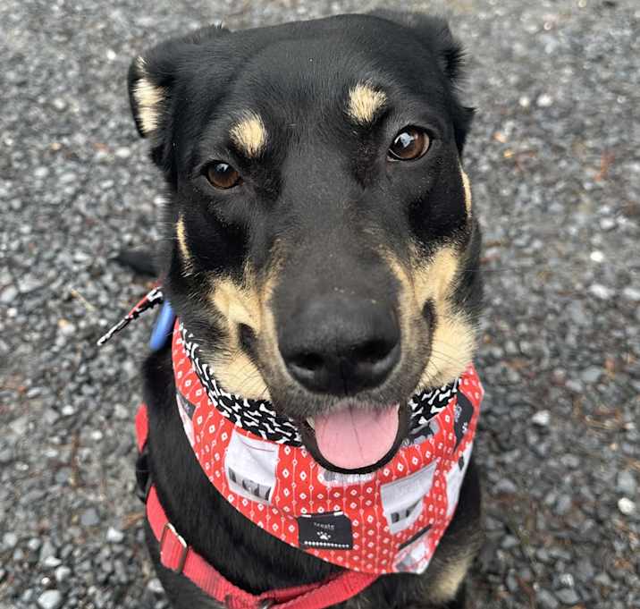 Photo of Betty Boop