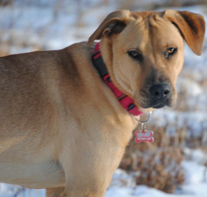 Photo of MADELENA