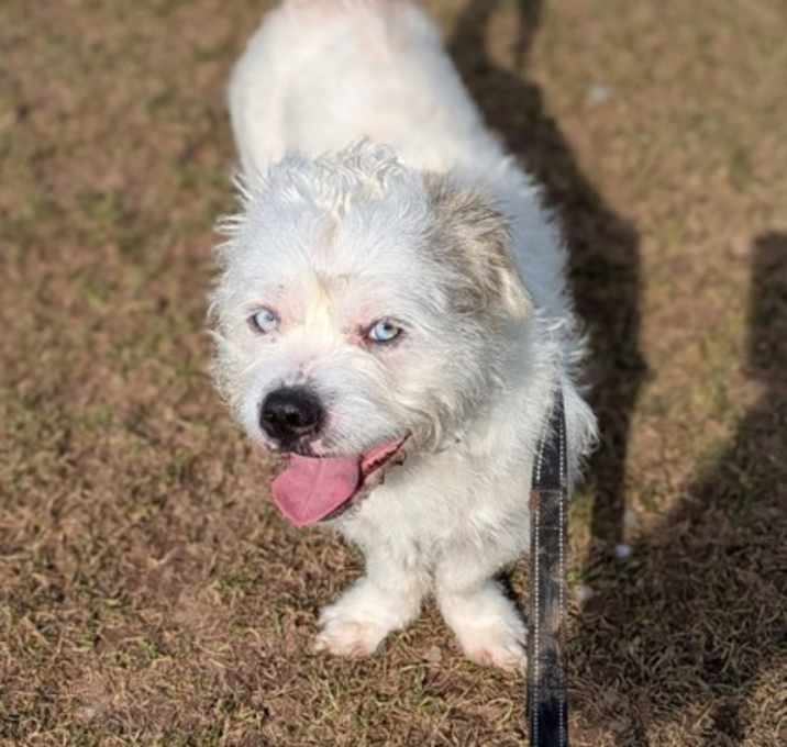 Photo of Cloud
