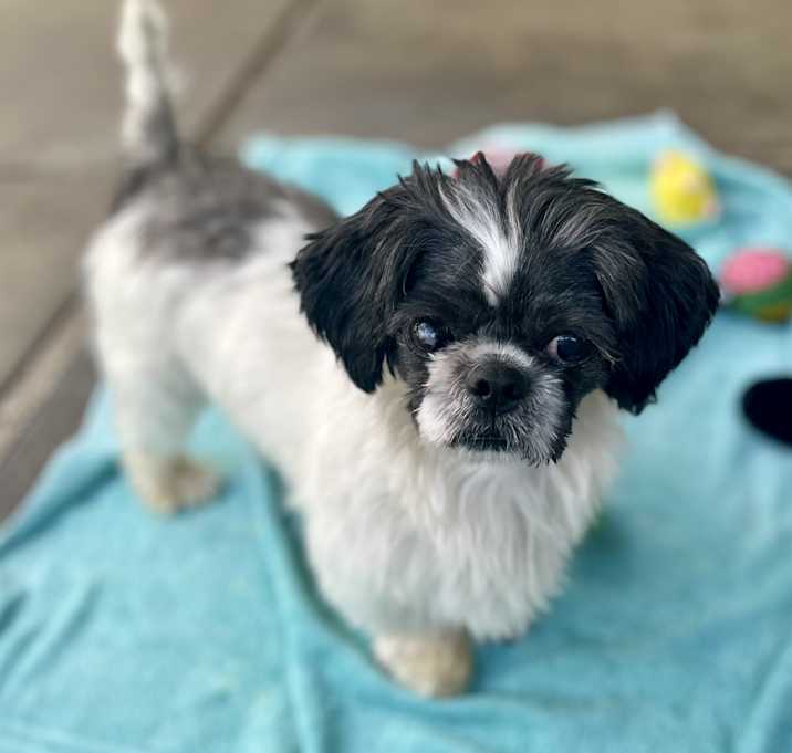 Photo of Jitsu