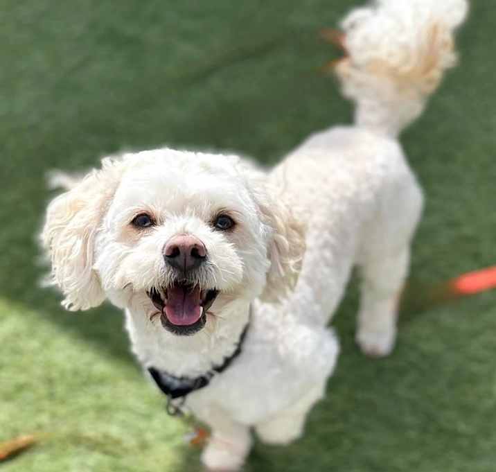 Photo of Max