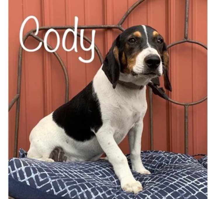 Photo of Cody