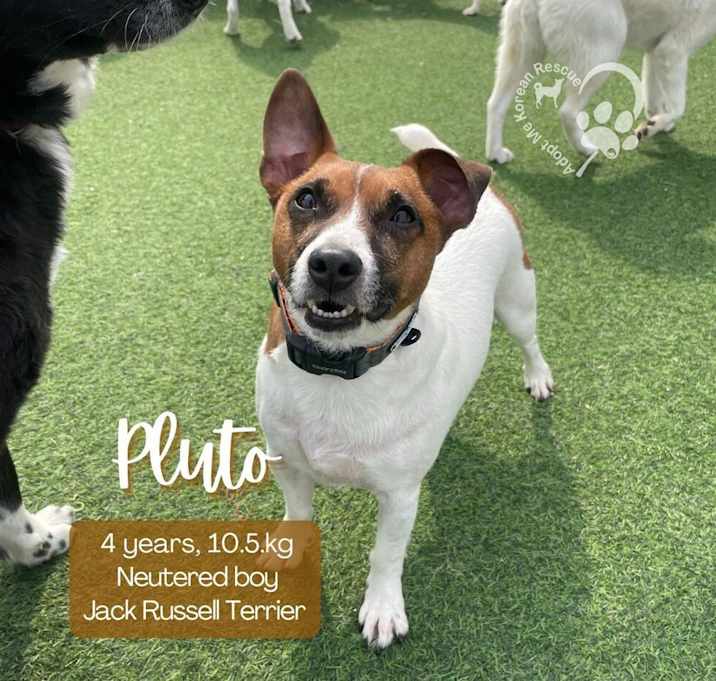 Photo of Pluto