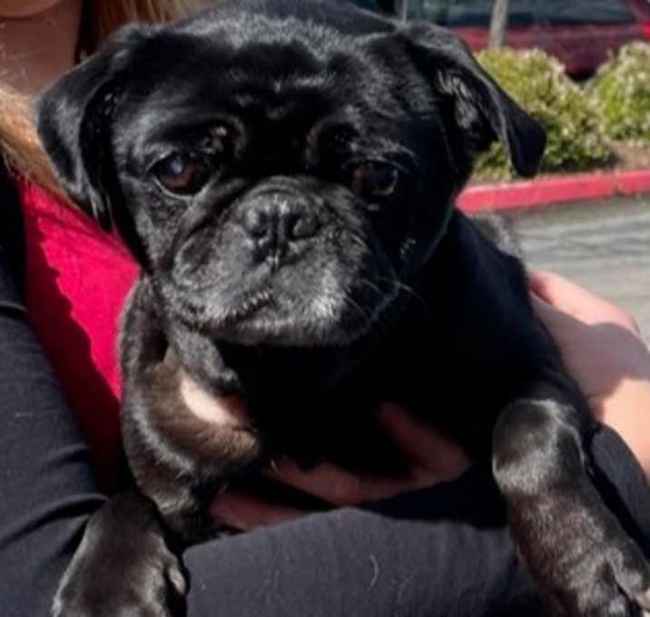 Photo of Betty