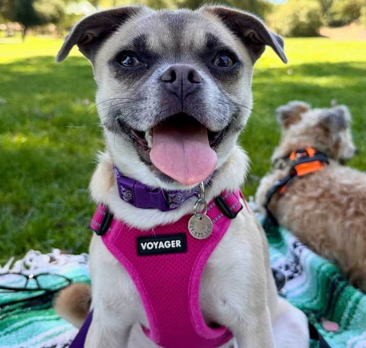 Photo of Frannie