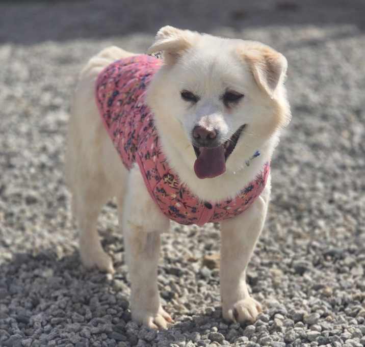 Photo of Coco
