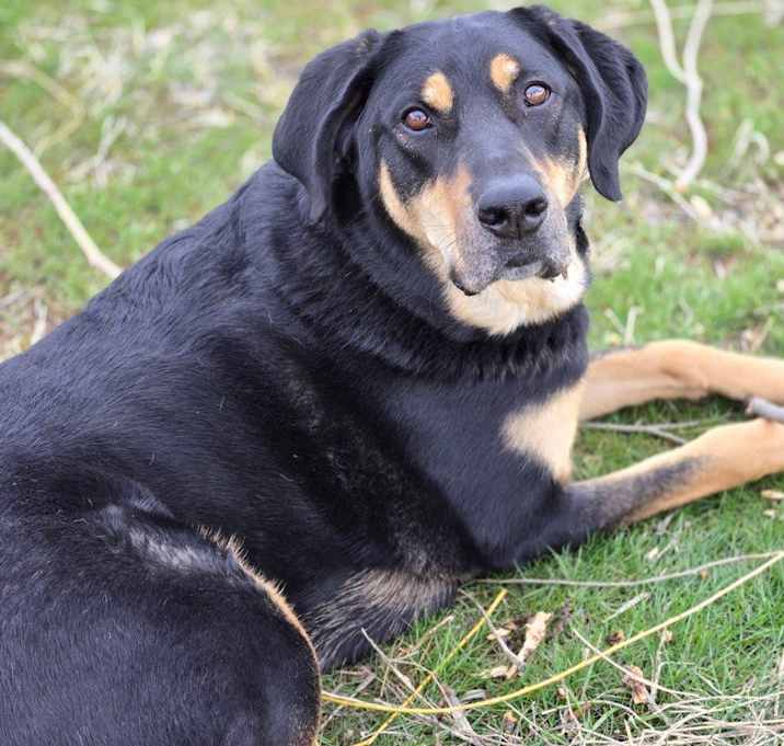 Photo of Tank