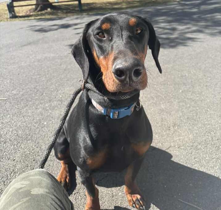 Photo of Vader
