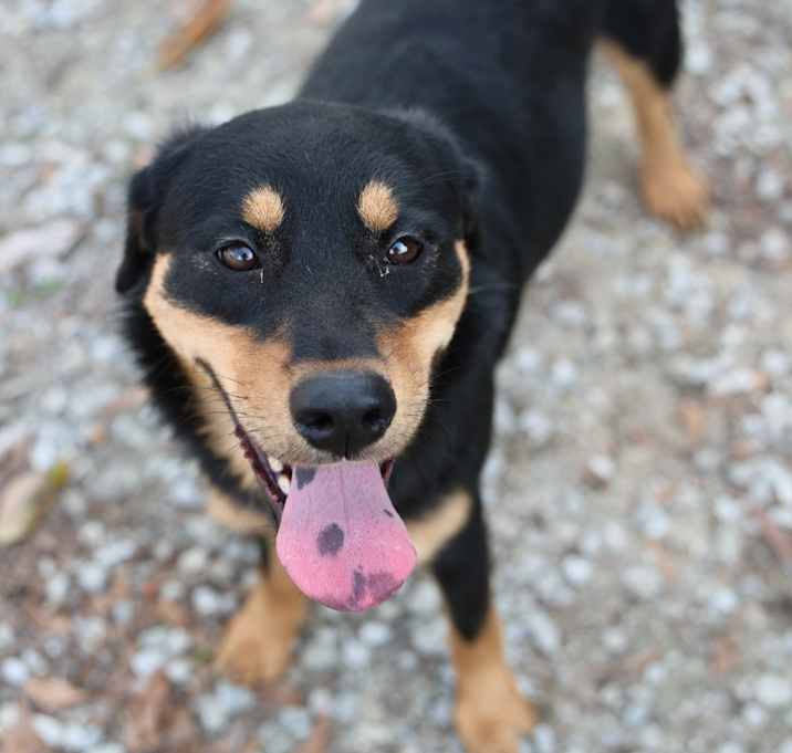 Photo of Star