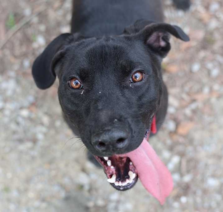 Photo of Bayou
