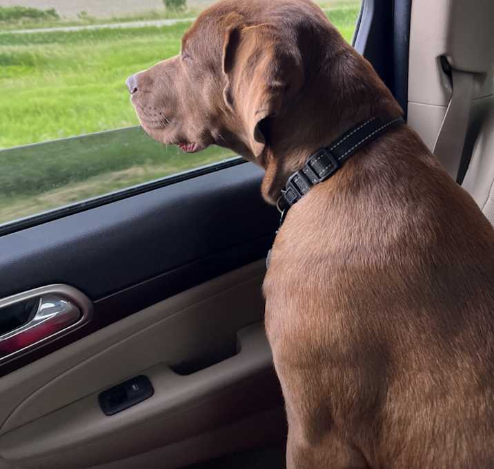 Photo of Rudy