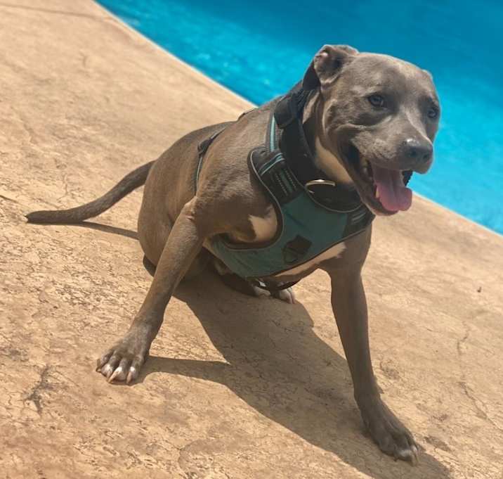 Photo of Blu
