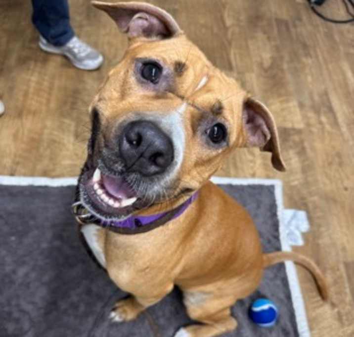 Photo of Charity