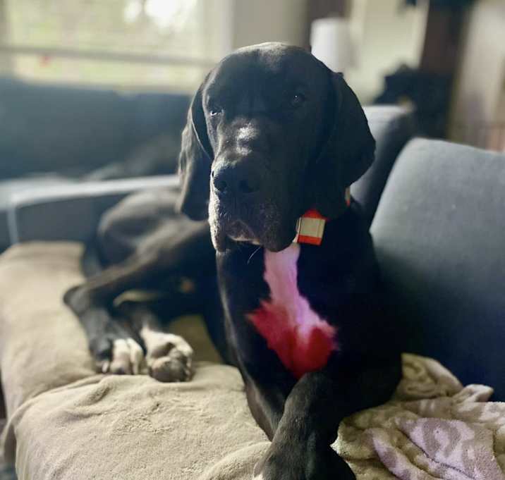 Photo of Denny