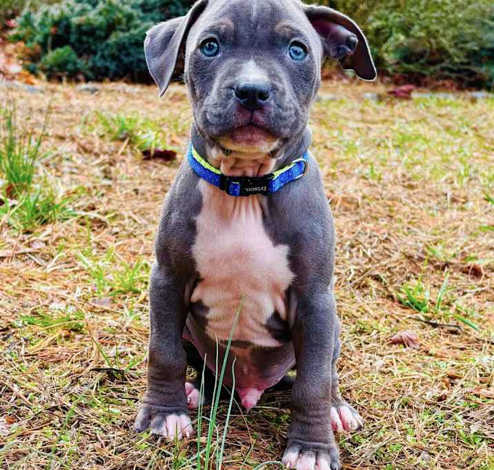 Photo of Stormy
