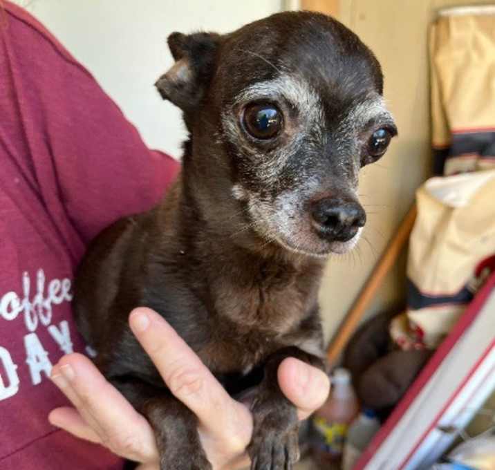 Photo of Hershey