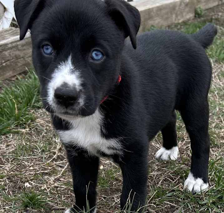 Photo of Baby Cupid