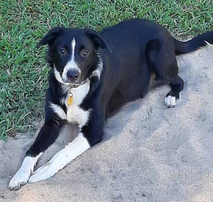 Photo of Socks