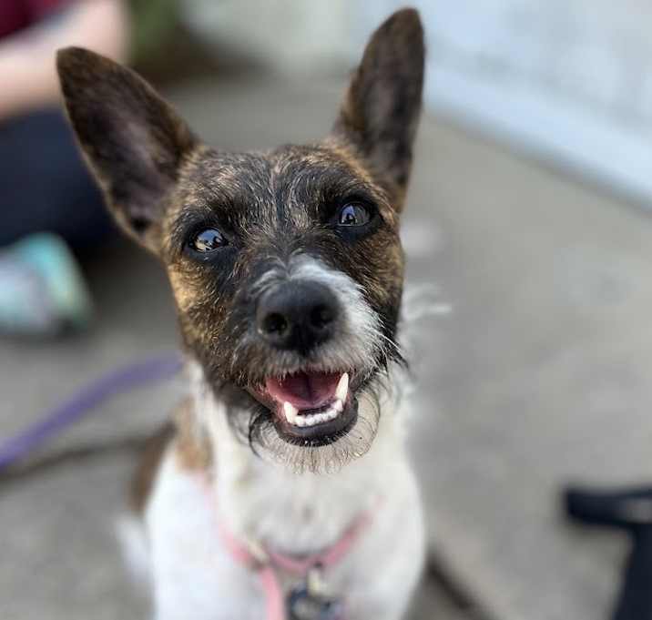 Photo of Roo Roo