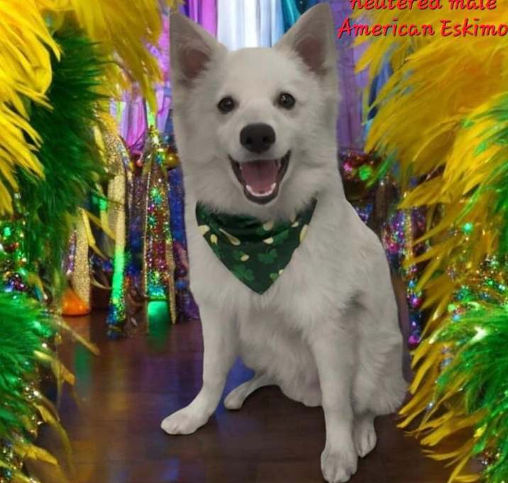 Photo of Max